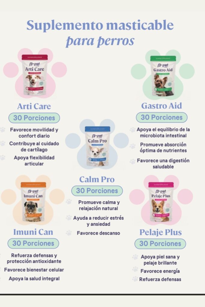b pet premios para perro saludables