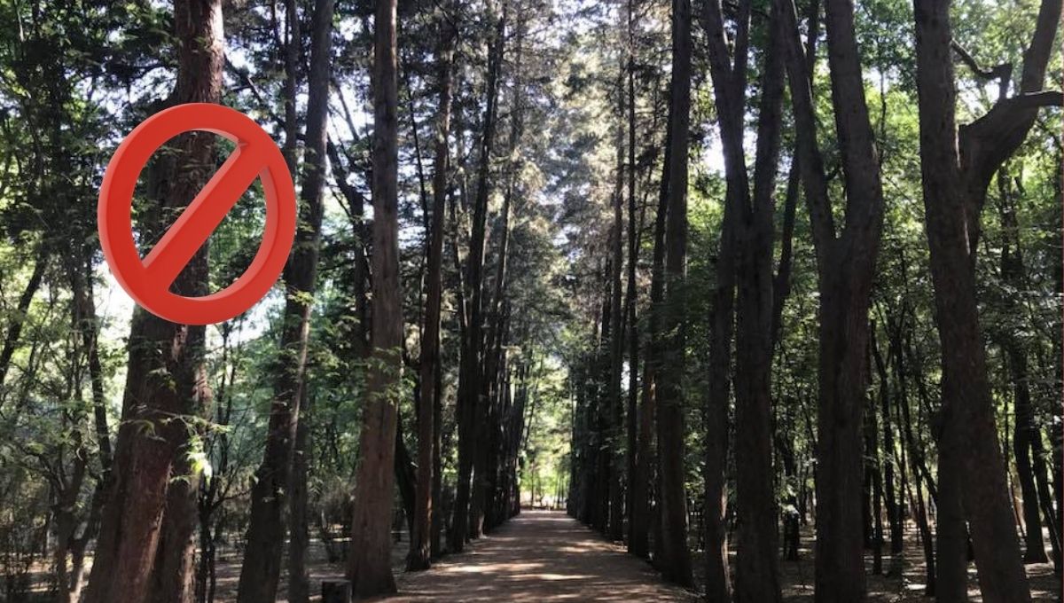 cierran viveros de coyoacan por proceso de saneamiento
