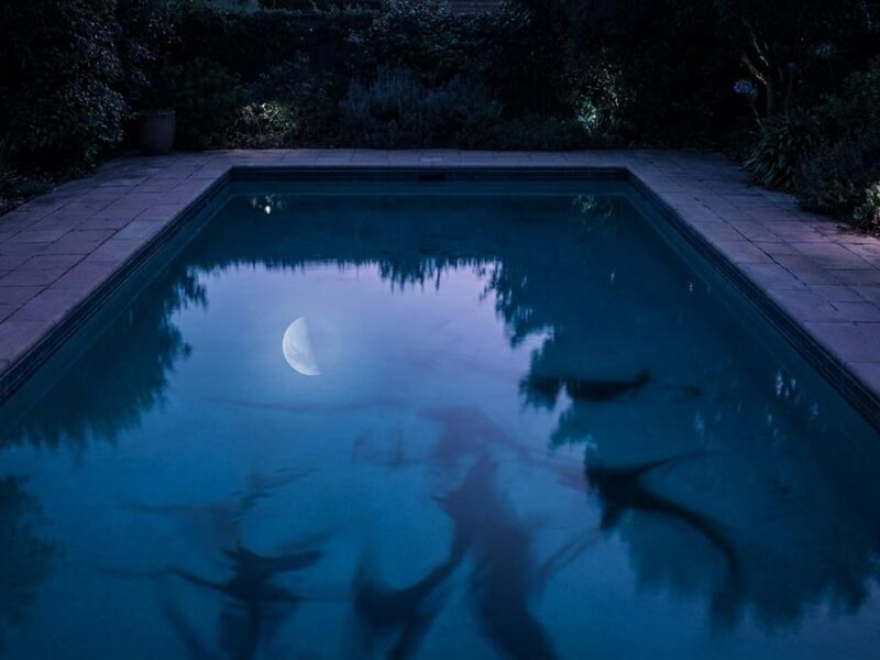 Aguas Siniestras en Netflix: la nueva pesadilla de Blumhouse y James Wan que te hará temer al agua