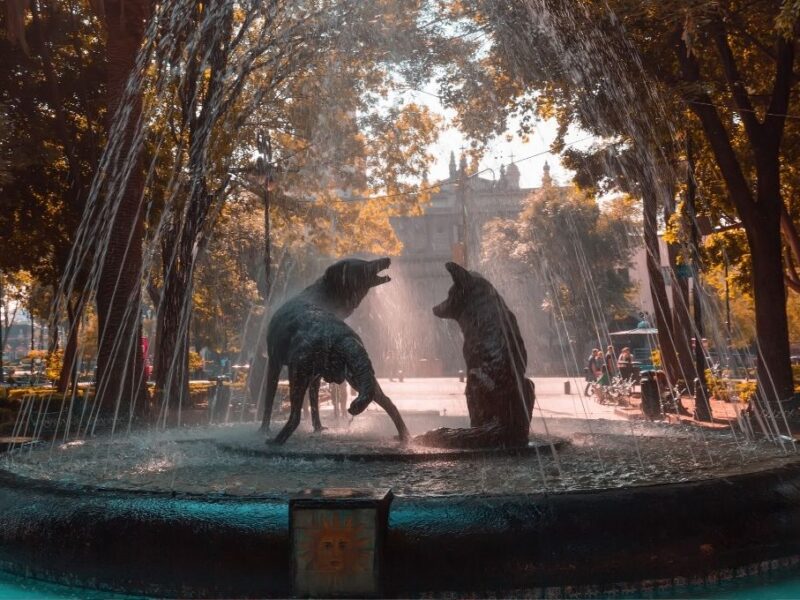 efemerides 24 mayo dia de los parques nacionales mexico