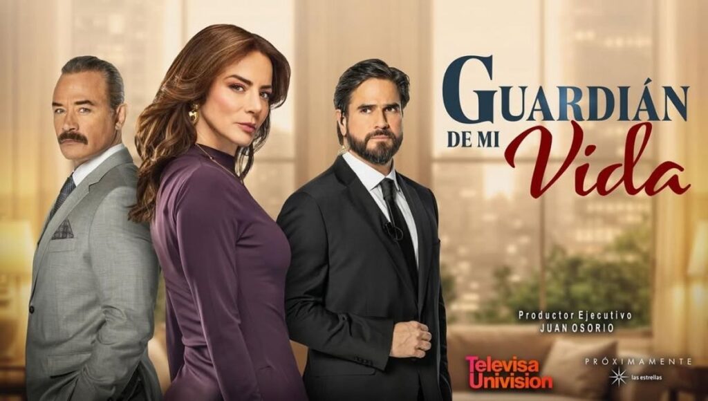 De qué trata Guardián de mi vida