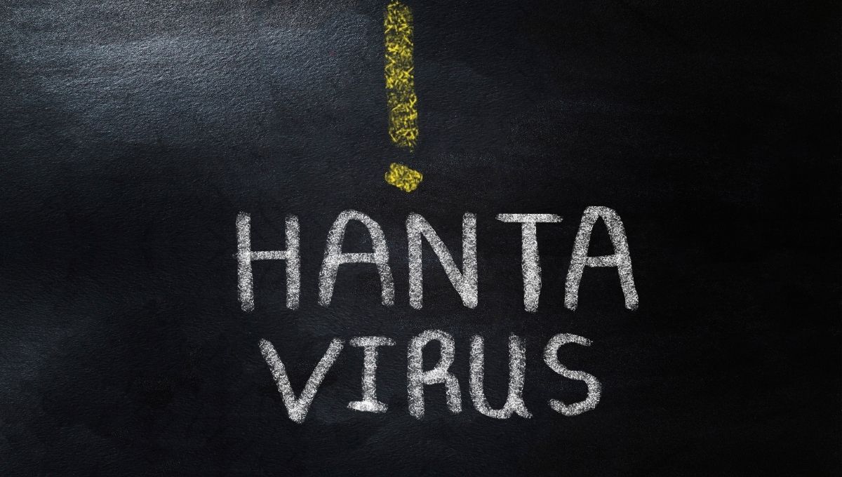 tuit de hace 4 años predice el Hantavirus para 2026