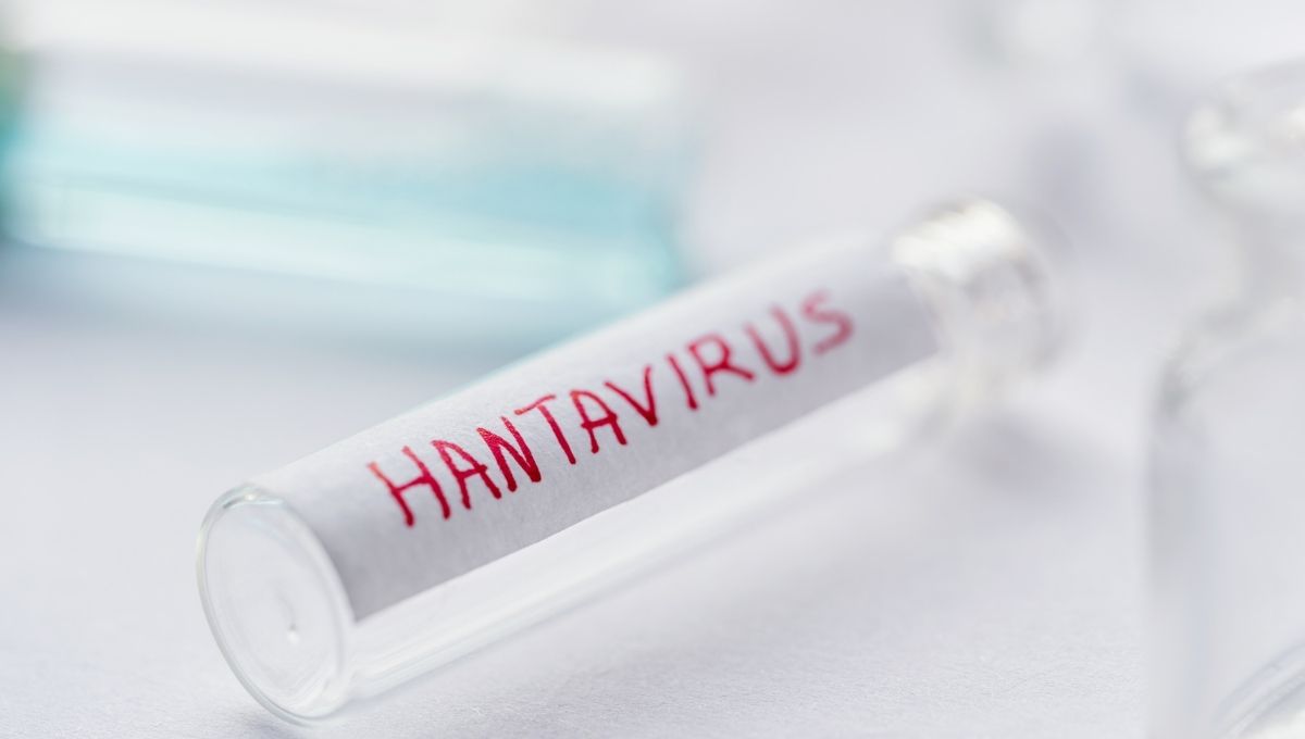 Hantavirus cómo se transmite y cuáles son los síntomas