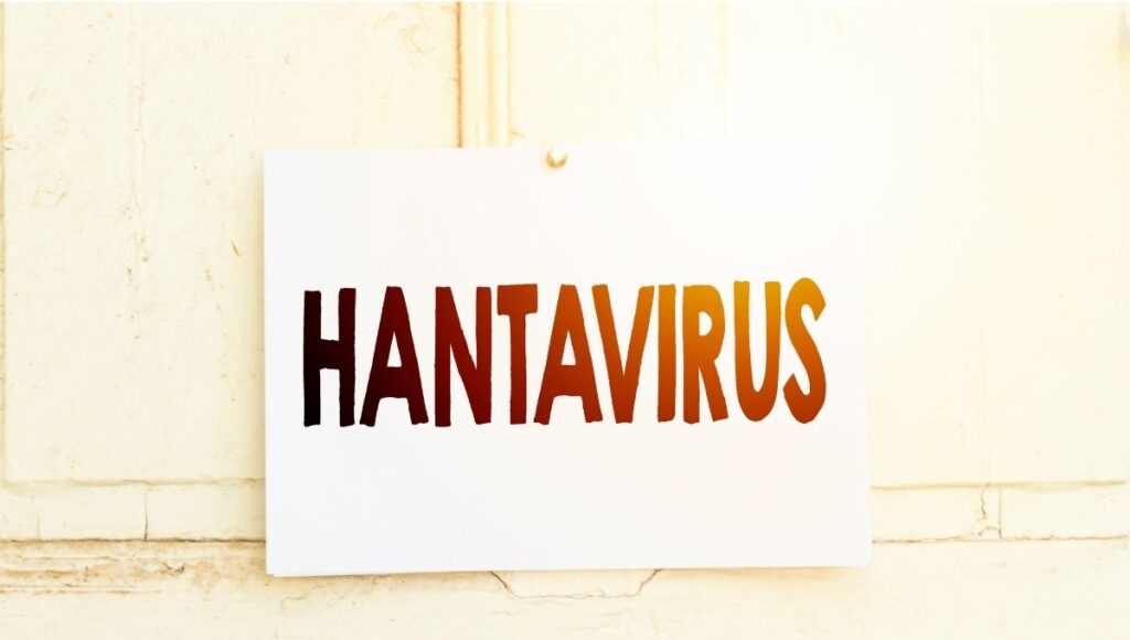 Hantavirus cómo se transmite y cuáles son los síntomas