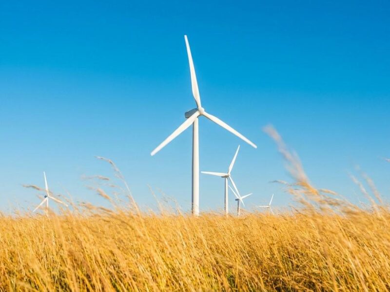 ¿Qué se celebra hoy viernes 13 de junio de 2025? Efemérides, Santoral y Día Mundial del Viento
