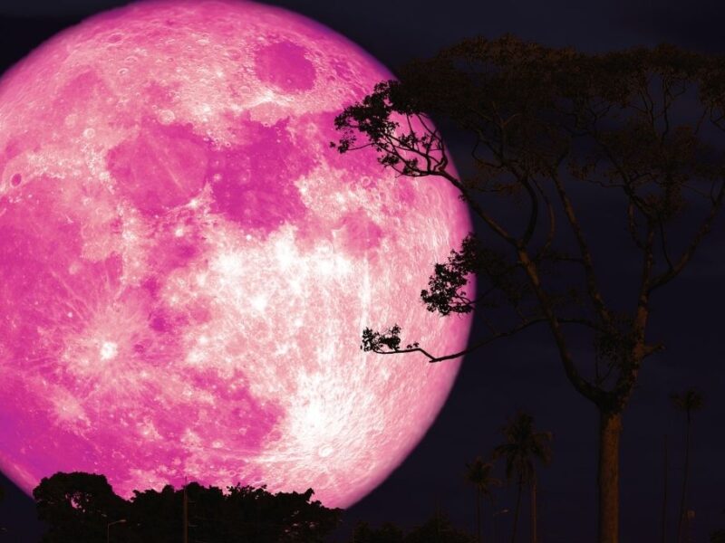 Cuándo, a qué hora y cómo ver la luna llena de junio en México