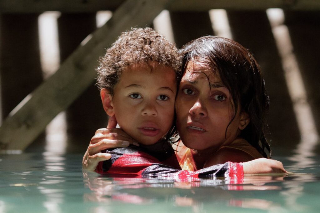 Secuestro en Netflix Reparto en la película de Halle Berry