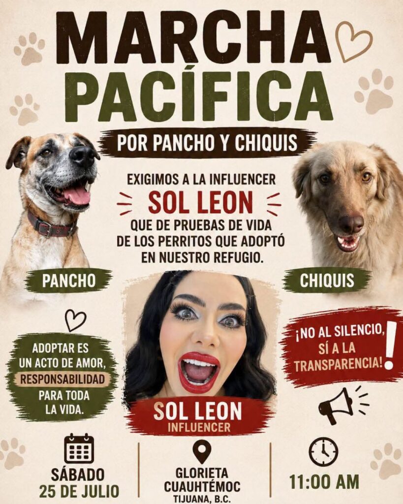 refugio patitas firmes denuncia a sol león por abandonar a perros