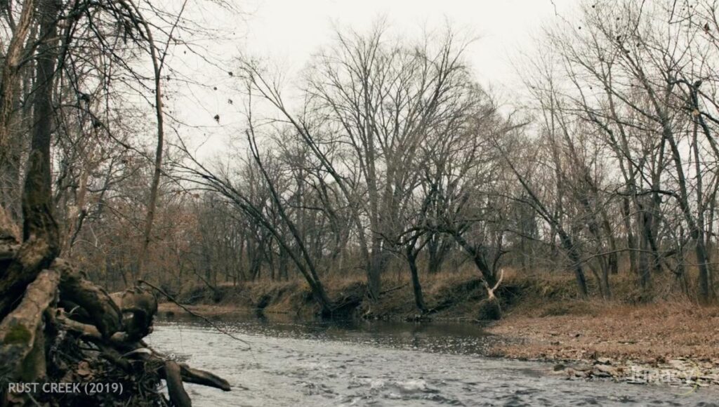Aguas que corroen: el bosque real de Kentucky
