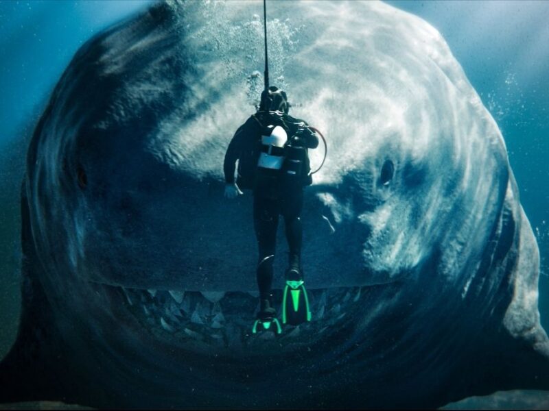 De qué trata Megalodon 2