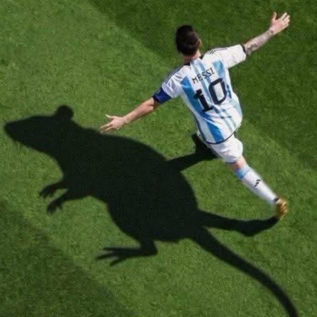 memes de argentina messi y la fifa